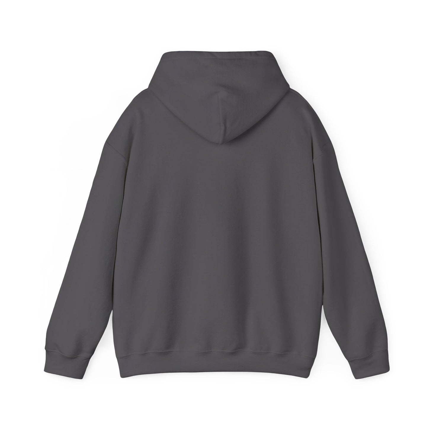 College & Career Ready Hoodie