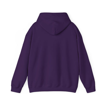 College & Career Ready Hoodie